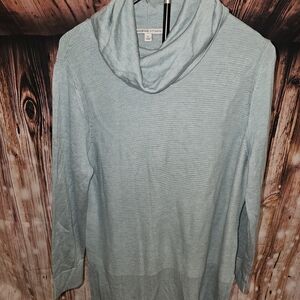 Adrienne Vittadini Light Blue Cowl Neck Sweater